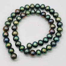 Load image into Gallery viewer, Fresh Water Pearl Strand Round | 9 mm | Blue/Bronze | 50 Beads |
