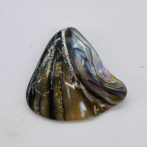 Abalone Hinge Shell | 38x42x12to 36x38x11mm | Silver Pink | 1 Pendant Bead |