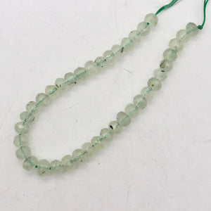 Rare Gemmy Prehnite Faceted Strand | 6x5 to 6x4mm | Green | Roundel | 78 bds | - PremiumBead Alternate Image 6