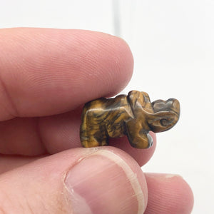 2 Tiger Eye Hand Carved Rhinoceros Beads, 21x13x10mm, Golden 009275TE | 21x13x10mm | Golden - PremiumBead Alternate Image 6