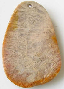 Sandy Rare Fossilized Coral 56mm Pendant Bead 9192T - PremiumBead Alternate Image 2