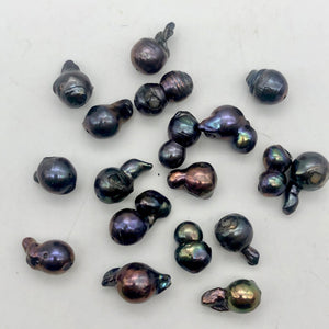Amazing! Each Pearl one of a kind Black Peacock Fireball Pearl Strand - PremiumBead Alternate Image 5
