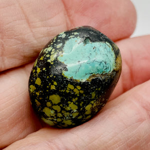 Natural Turquoise Nugget Focus or Master 65cts Bead| 26x20x17 |Blue Black Green|
