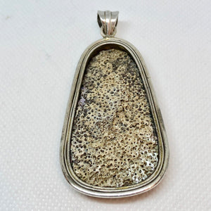 Scenic! Natural Abalone Silver Pendant! 4192 - PremiumBead Alternate Image 4