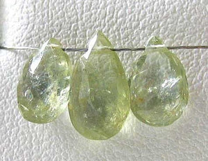 1 Natural Yellow Green Sapphire Briolette Bead Set 6786 - PremiumBead Primary Image 1
