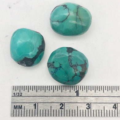 Three Natural Turquoise Beads | 16x13 to 15x12mm | Blue | Rounded | 3 beads | - PremiumBead Primary Image 1