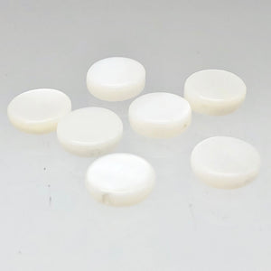 Mississippi White Ebony Shell Coin Beads | 7 Beads | 8x2.5mm | 4336p - PremiumBead Alternate Image 2