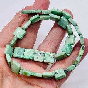 Mojito Natural Green Turquoise Square Coin Bead Strand 107412G