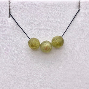3 Green Grossular Garnet Faceted Round Beads, Green, 5.5mm, 3 beads, 5753 - PremiumBead Alternate Image 6