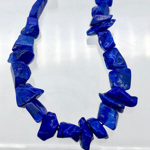 Intense! Natural Gem Quality Lapis Lazuli Bead Strand!| 46 beads | 11x10x6mm | - PremiumBead Primary Image 1