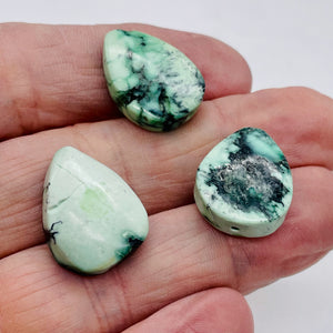 3 Mint Green Turquoise Teardrop Pendant Beads 7417