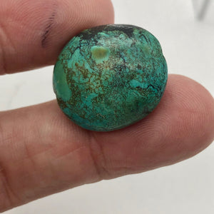 Genuine Natural Turquoise Nugget Focus or Master Bead | 38cts | 23x21x11mm - PremiumBead Primary Image 1