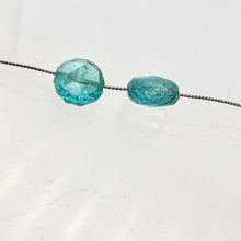 Load image into Gallery viewer, Fab 1 Aqua Green Apatite Faceted 6.5 to 7mm Coin Bead 3930B - PremiumBead Alternate Image 7

