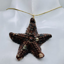 Load image into Gallery viewer, Starfish 14K Gold Filled Starfish | 2 1/2&quot; Long | Brown White | 1 Pendant
