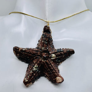 Starfish 14K Gold Filled Starfish | 2 1/2" Long | Brown White | 1 Pendant