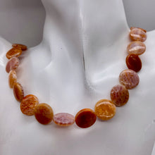 Load image into Gallery viewer, Snakeskin/Crab Fire Agate Focal Bead Strand 108958
