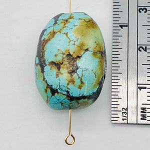 Natural Turquoise Nugget Focus Master 39cts Bead | 24x18x14 | Blue Brown | 1 |