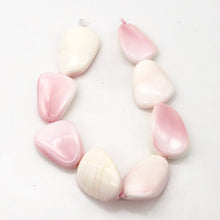 Load image into Gallery viewer, Conch Shell. Pear Shaped | 27x19x8 to 28x22x11 | Pink White | 2 Bead(s)
