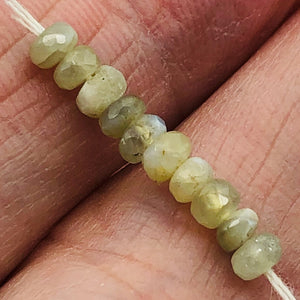 Alexandrite Cats Eye Faceted Rondell Bead Strand | 3 mm | Green | 200 Beads |