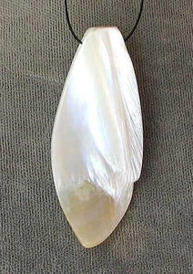 Exotic White Ebony Shell Pendant Bead 005069A - PremiumBead Alternate Image 2
