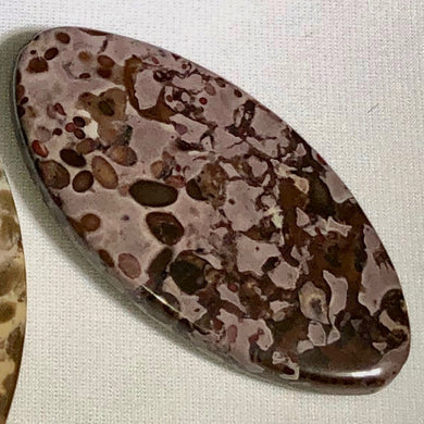 Wildly Exotic 2 Tiger Jasper Marquis Pendant 40x20x5mm Beads 6705 - PremiumBead Primary Image 1
