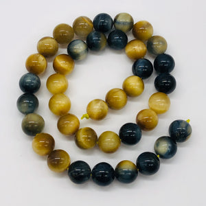 Tigereye 8" Strand Round | 10 mm | Blue/Golden Brown | 19 Beads |