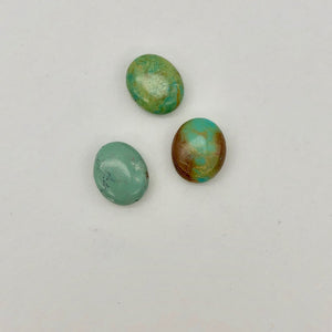 3 Natural Turquoise 12x10mm Oval Beads 2175