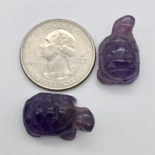 Load image into Gallery viewer, Charming 2 Carved Amethyst Turtle Beads | 22x12.5x9mm | Purple - PremiumBead Alternate Image 6
