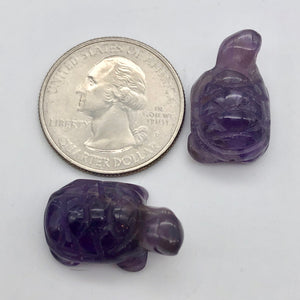 Charming 2 Carved Amethyst Turtle Beads | 22x12.5x9mm | Purple - PremiumBead Alternate Image 6