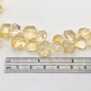 Citrine Faceted Briolette Bead Strand | 13x11 to 11x8x5mm | Golden | 55g |