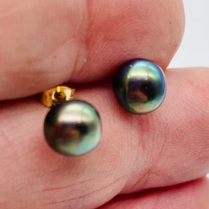 South Sea Black Pearl 14K Stud Earrings | 1/4 inch | Gold | 1 Pair |