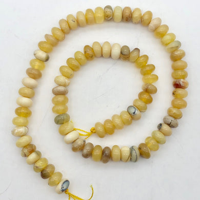 African Dendritic Golden Opal Roundel Bead Strand - PremiumBead Primary Image 1