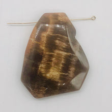 Load image into Gallery viewer, Cracked Fossilized Wood Flat Briolette | 48x40x7mm| Tan/Black| 1 Pendant Bead|
