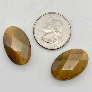 Exotic Perfectly Faceted Tigereye Beads| 24x15x7 | Golden | Oval | 2 beads | - PremiumBead Alternate Image 3