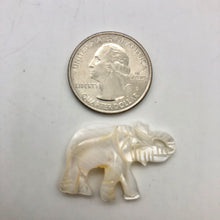 Load image into Gallery viewer, 1 Pachyderm Carved Mother of Pearl Shell Elephant Bead - PremiumBead Alternate Image 10
