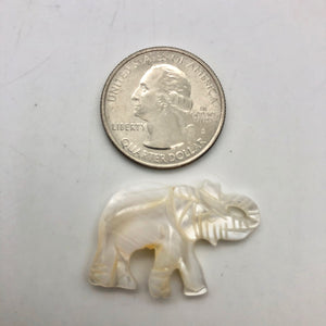 1 Pachyderm Carved Mother of Pearl Shell Elephant Bead - PremiumBead Alternate Image 10