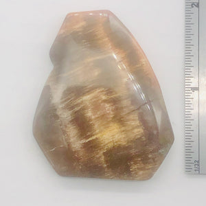 Cracked Fossilized Wood Flat Briolette | 48x40x7mm| Tan/Black| 1 Pendant Bead|