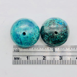 Two Beads of Chrysocolla 17x14mm Roundel Beads 9651